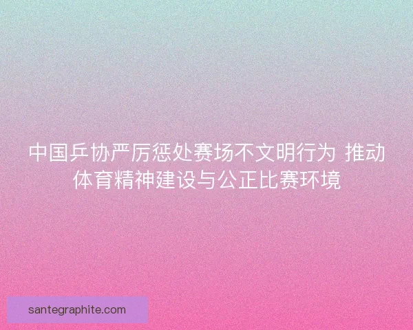 中国乒协严厉惩处赛场不文明行为 推动体育精神建设与公正比赛环境