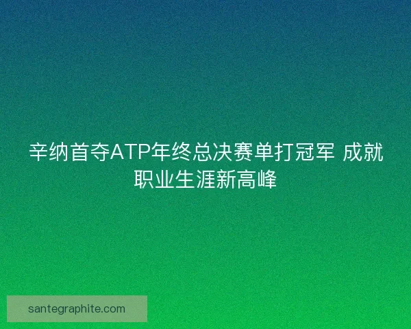 辛纳首夺ATP年终总决赛单打冠军 成就职业生涯新高峰