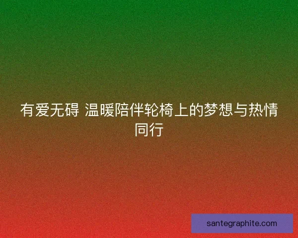 有爱无碍 温暖陪伴轮椅上的梦想与热情同行