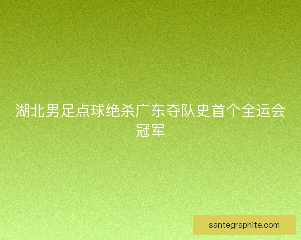 湖北男足点球绝杀广东夺队史首个全运会冠军